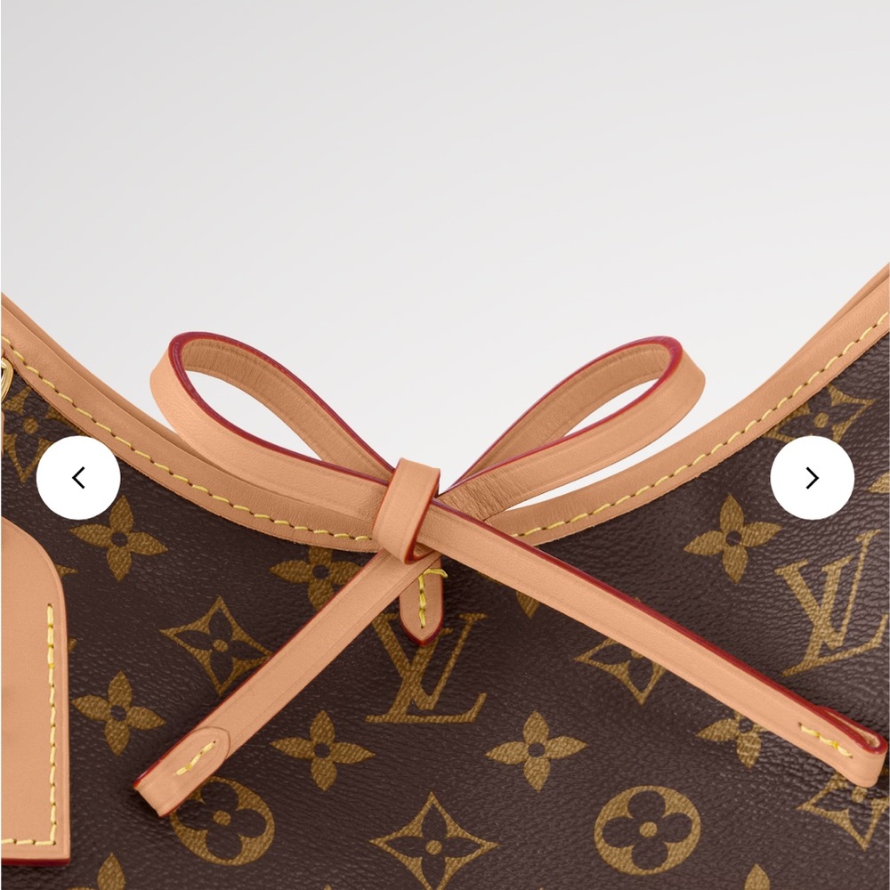 Louis Vuitton Carry All PM - Picture 7 of 12